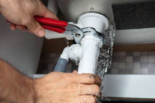 Best Water damage contractors near me  in Prunedale, CA