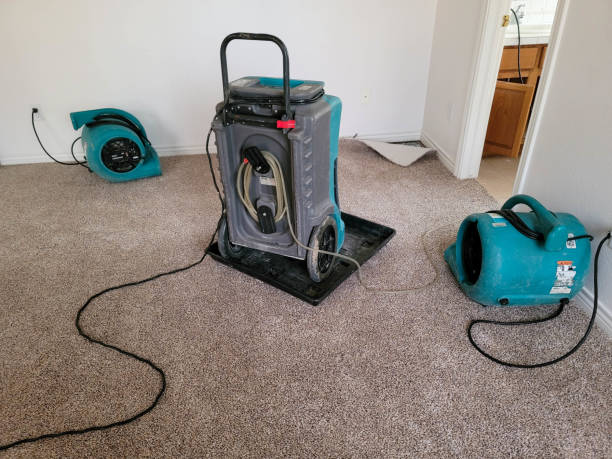 Best Water damage restoration near me  in Prunedale, CA