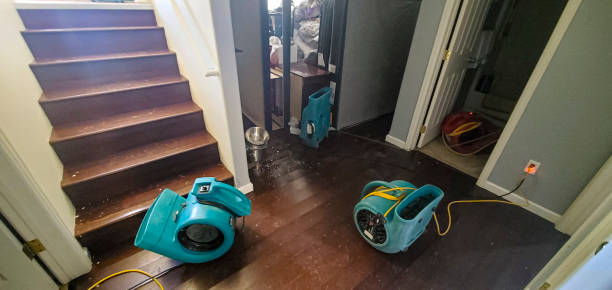 Best Flooded house restoration  in Prunedale, CA